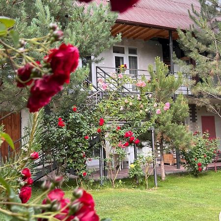 Podsolnukhi Guest House チョルポン・アタ エクステリア 写真