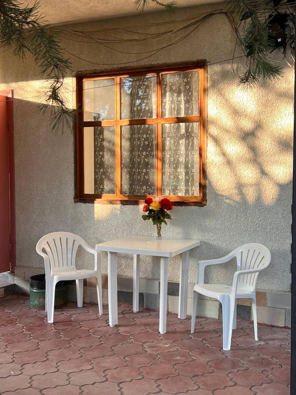 Podsolnukhi Guest House チョルポン・アタ エクステリア 写真