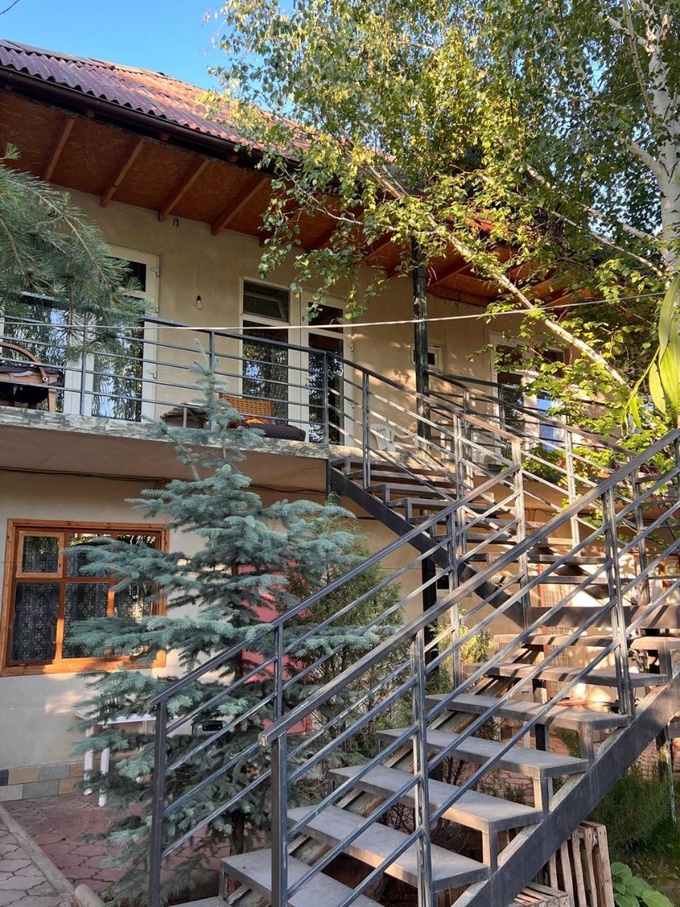 Podsolnukhi Guest House チョルポン・アタ エクステリア 写真